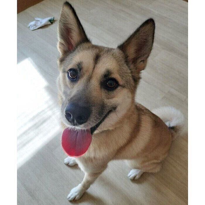 ニコニコ笑顔が可愛いFELIXくん