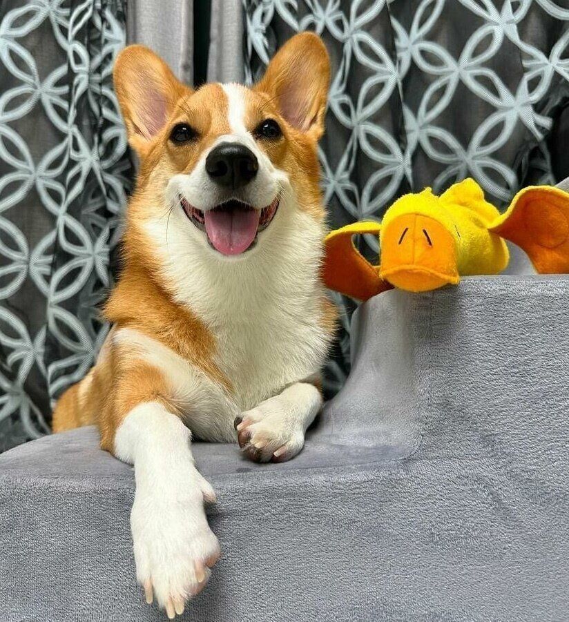 楽しそうなちくわくん