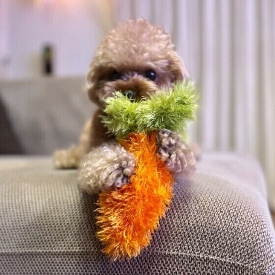 6 Tkrdjy8srnkm 6 Tkrdjy8srnkm