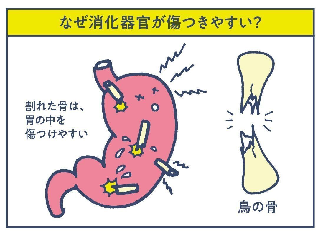 食べたものは食道や胃の中をストンと落ちるわけではなく、筋肉が収縮して移動しています。なので、とがったものは内部の粘膜を傷つけやすいです