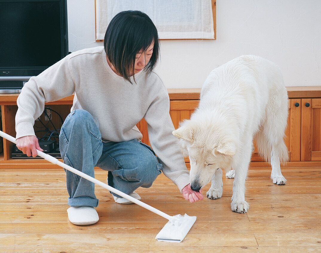 おやつをもらう犬