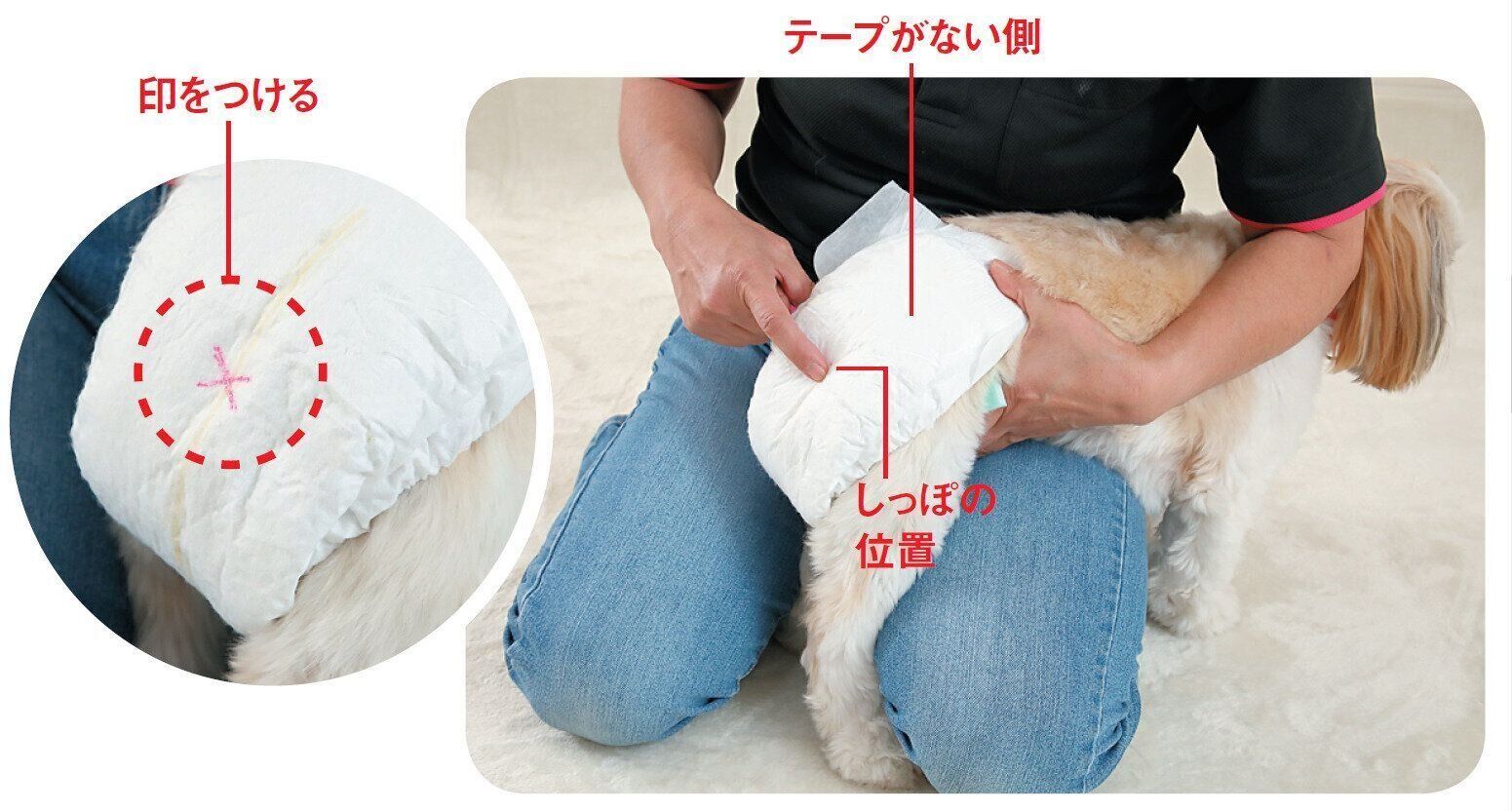 撮影／尾﨑たまき