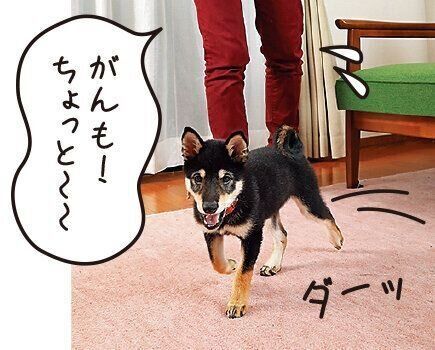 撮影／尾﨑たまき