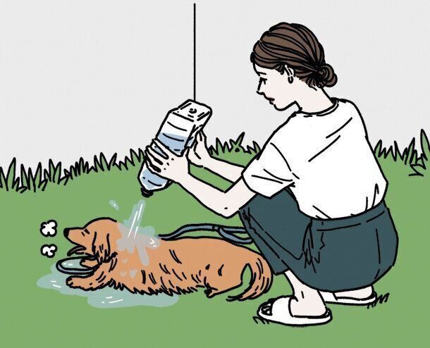 涼しい場所で体を冷やして