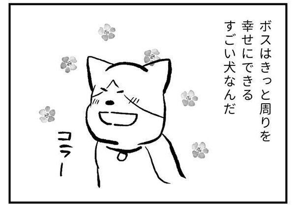 『たまさんちのホゴイヌ』　CHAPTER1 ボス