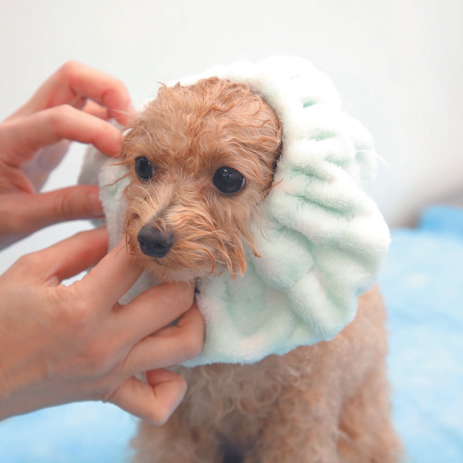 撮影／尾﨑たまき