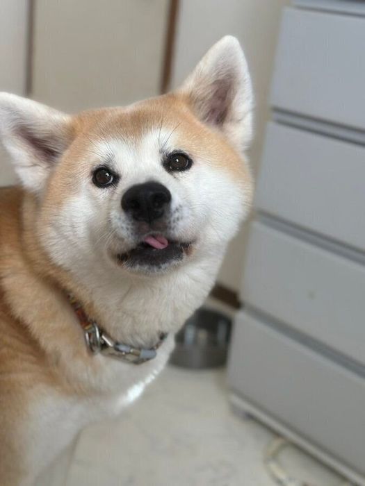 “ツンデレ”なところが魅力のひとつ? くりちゃん