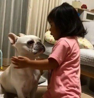 娘ちゃんと遊んであげるフレブルのろいさん