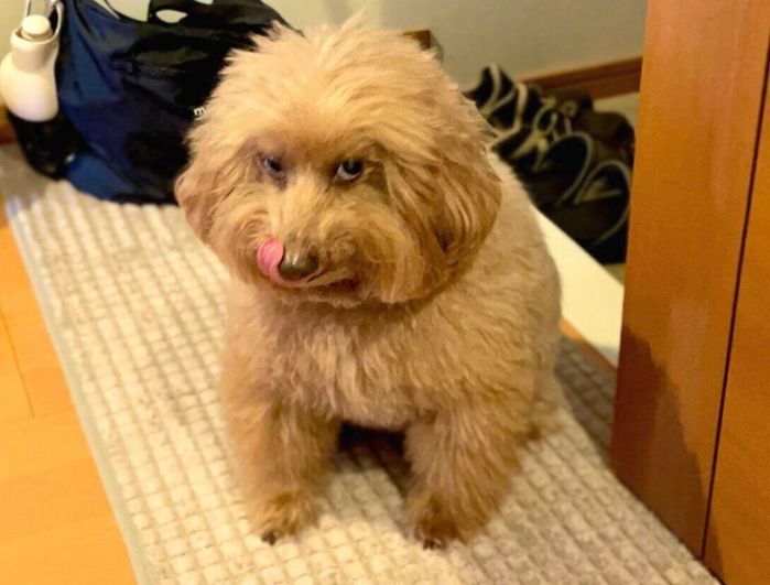 予防接種を終え帰宅した森くん