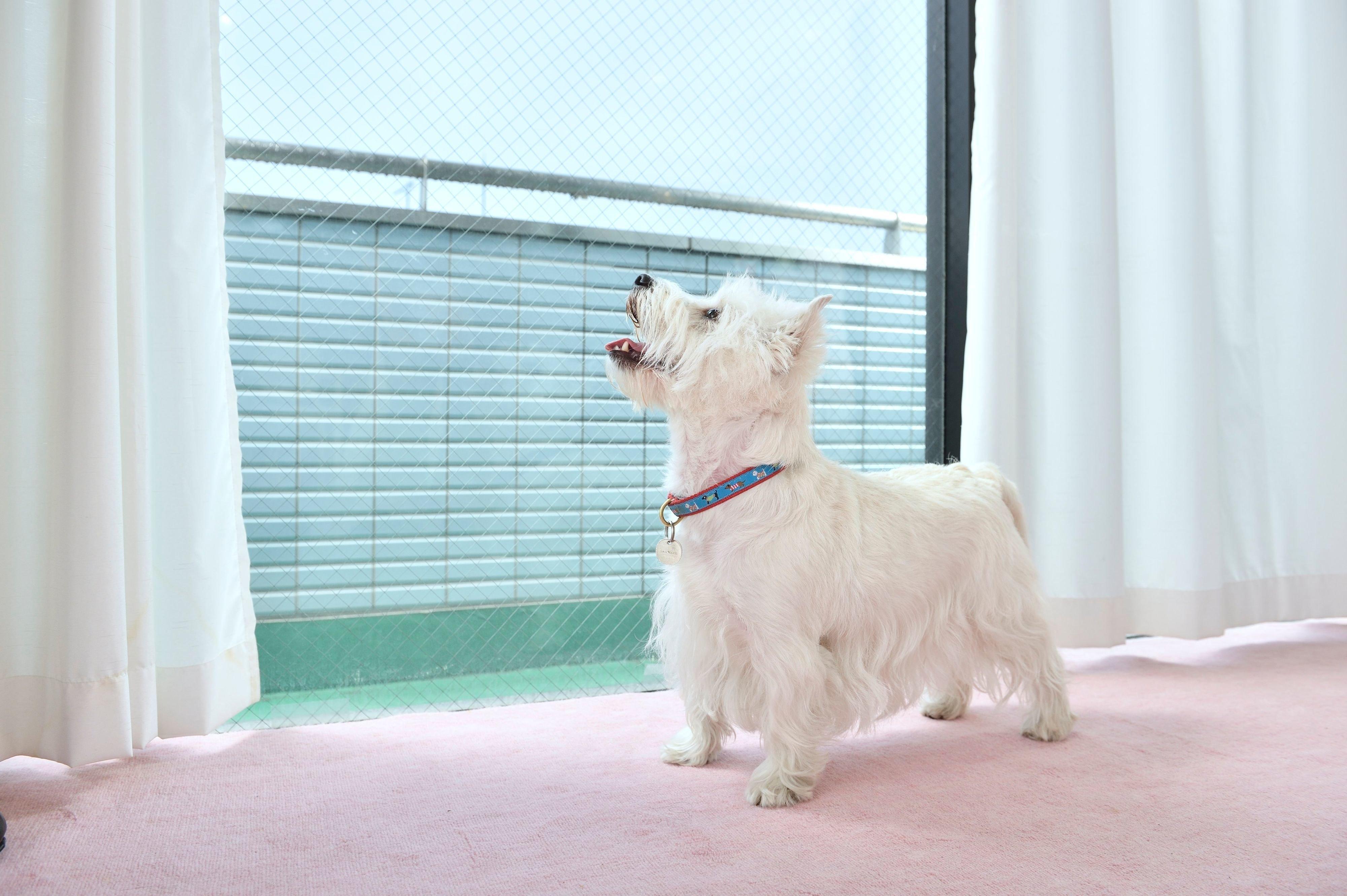 撮影／佐藤正之