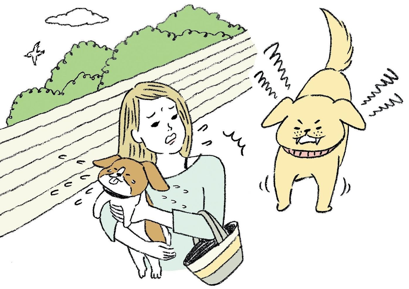 散歩中 愛犬がほかの犬に噛まれてケガ 精神科での治療費をもとめて裁判に いぬのきもちweb Magazine 散歩中 愛犬がほかの犬に噛まれてケガ 精神科での治療費をもとめて裁判に いぬのきもちweb Magazine