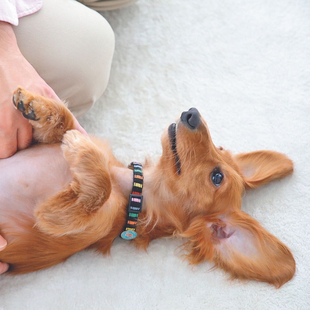 撮影／尾﨑たまき