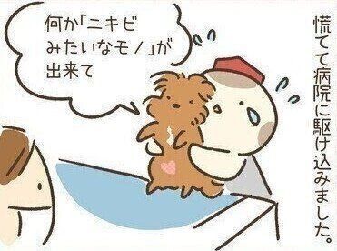 連載「こぐま犬てんすけ」vol.92