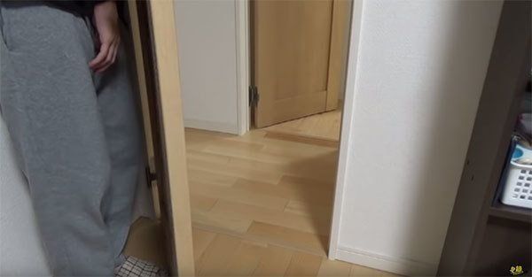 かくれんぼで遊ぶ柴犬