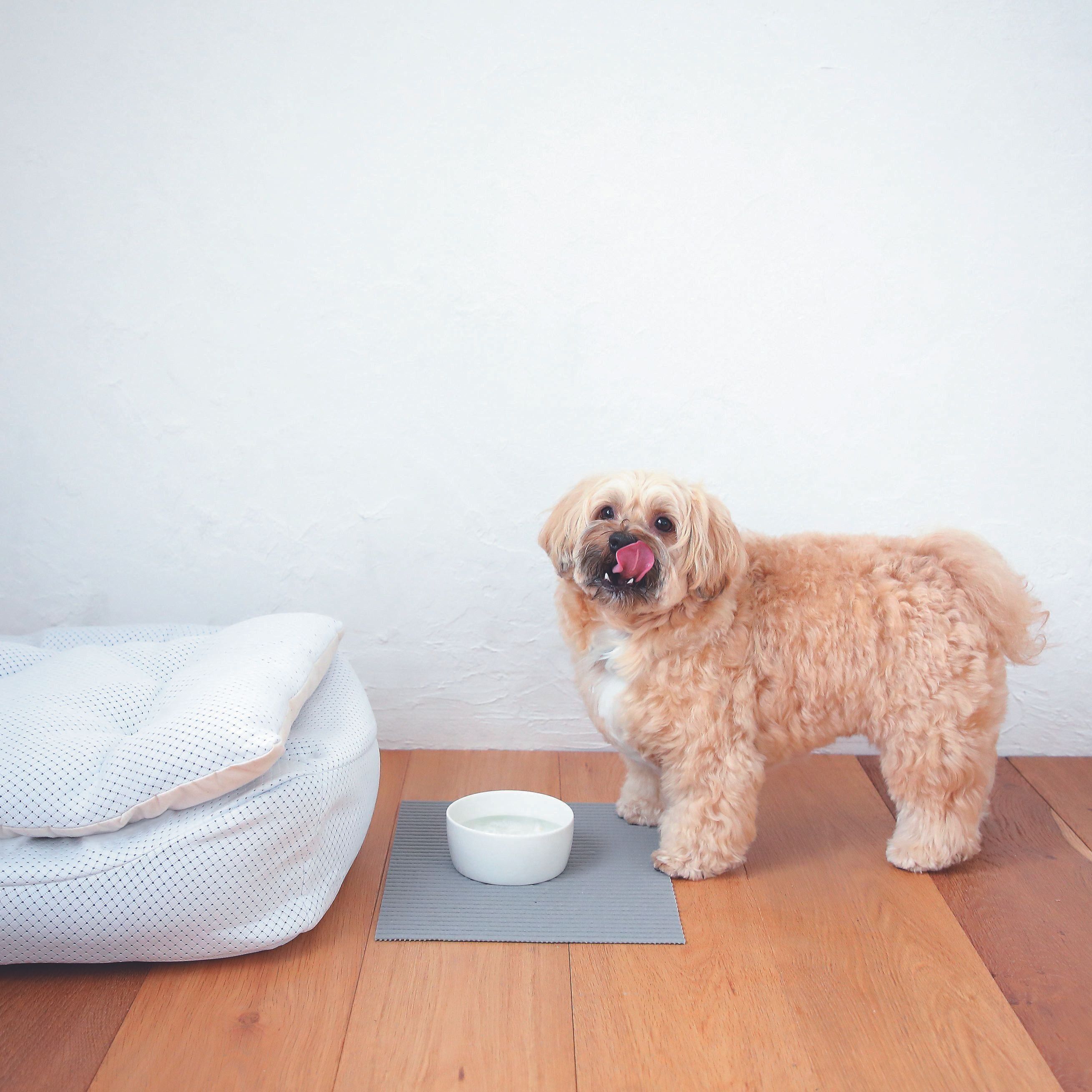 お気に入りのベッドの横にはマスト！