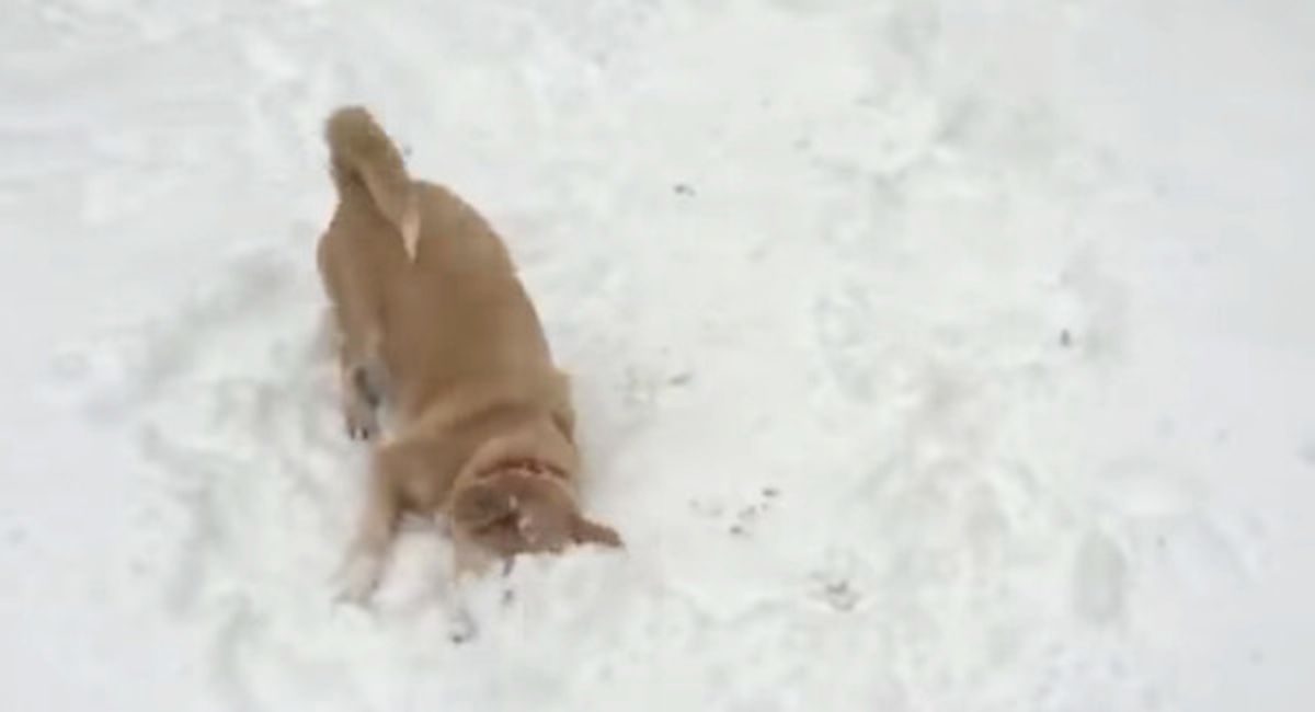 Brpto2ruk6hn5m Brpto2ruk6hn5m