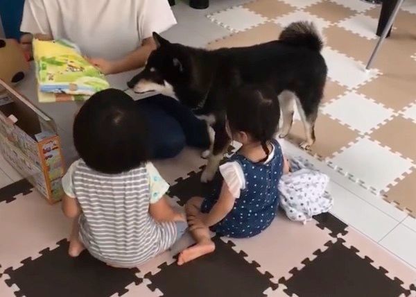 柴犬と子どもたち