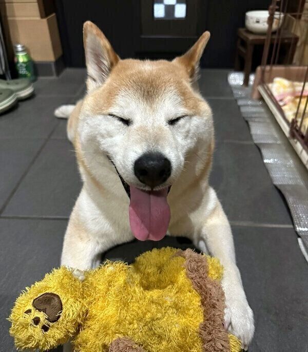 笑顔が可愛い福丸くん