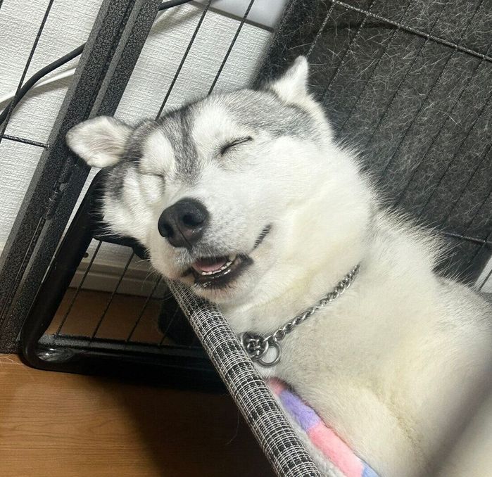 気持ちよさそうに眠るリアンちゃん