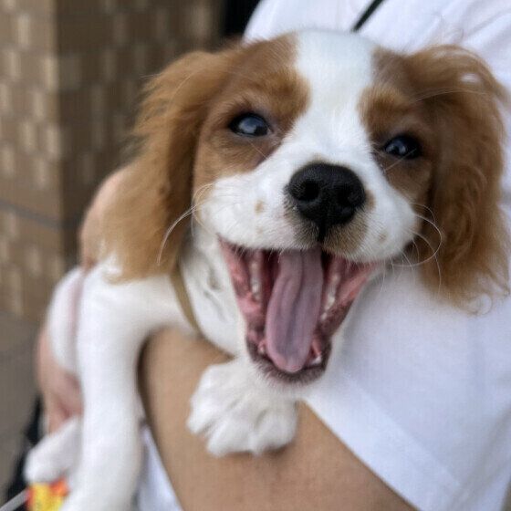 だっこをしてもらってごきげん♪