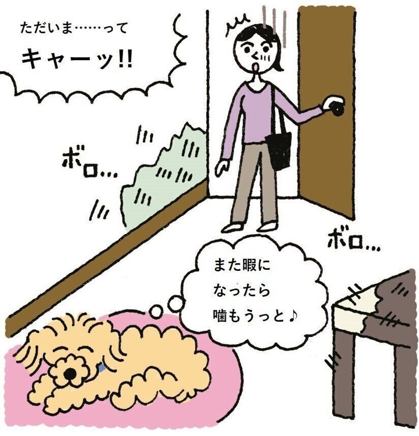 子犬期に物をカジカジ そのかじりグセ 放っておくと大変なことに いぬのきもちweb Magazine 子犬期に物をカジカジ そのかじりグセ 放っておくと大変なことに いぬのきもちweb Magazine
