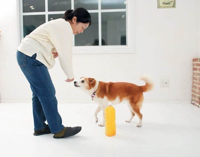 1周にチャレンジ