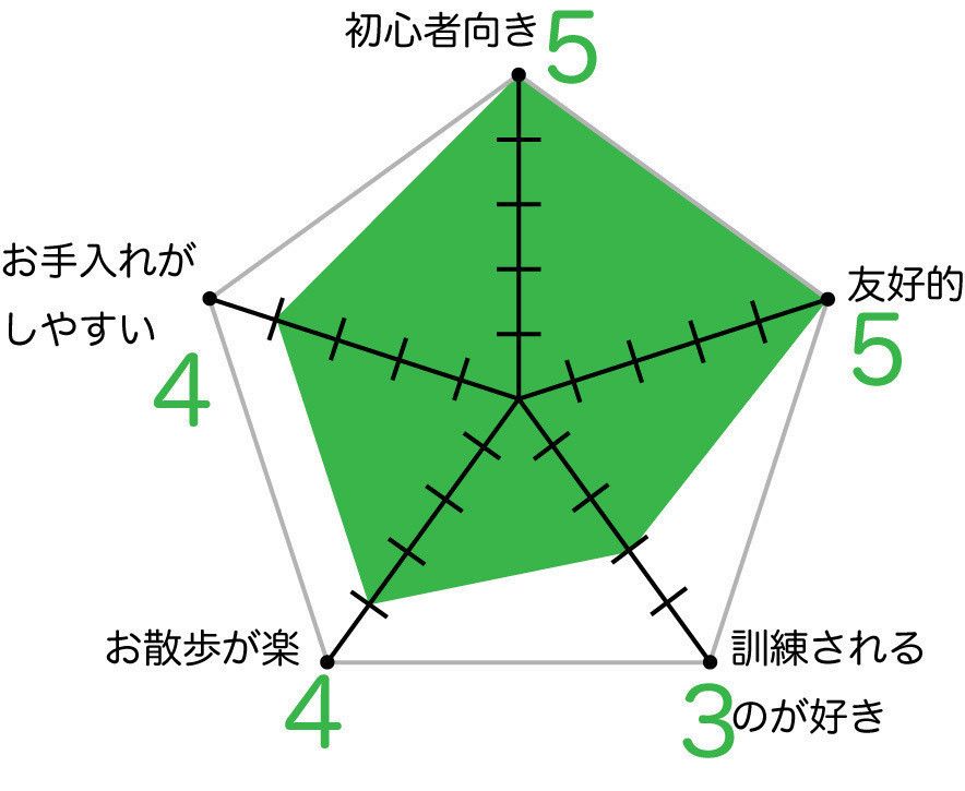 キャバリア キング チャールズ スパニエルの特徴 性格 最新価格と飼い方 いぬのきもち 犬図鑑 いぬのきもちweb Magazine