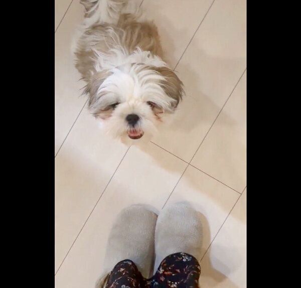 再び笑顔になるうめまるくん