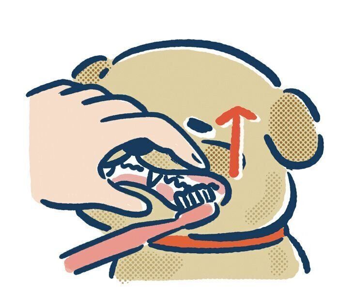 やさしく持ち上げて