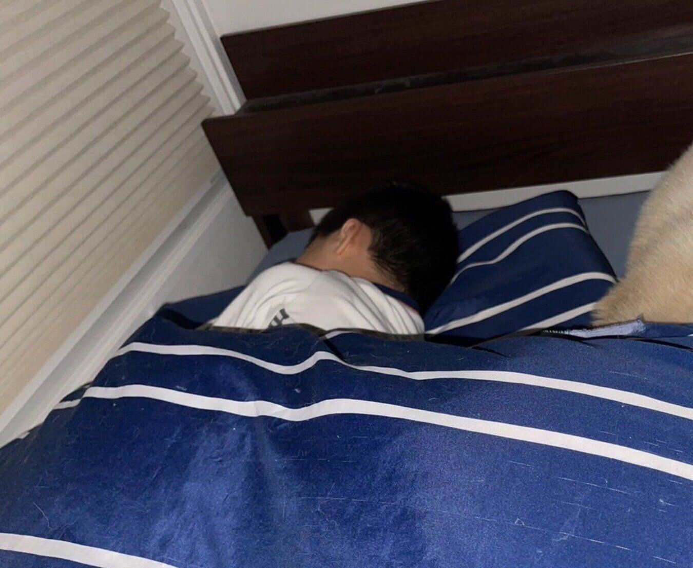 息子さんの隣で眠る凛太郎くん