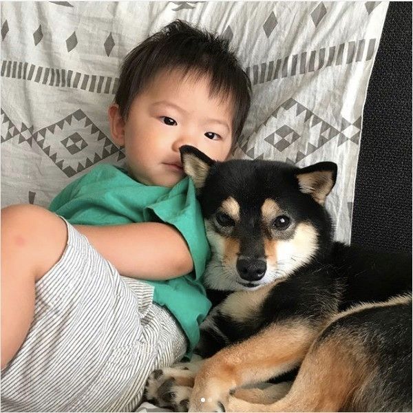 真似っこされるワンコ