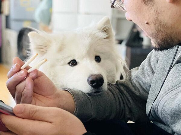 見つめるソランくん