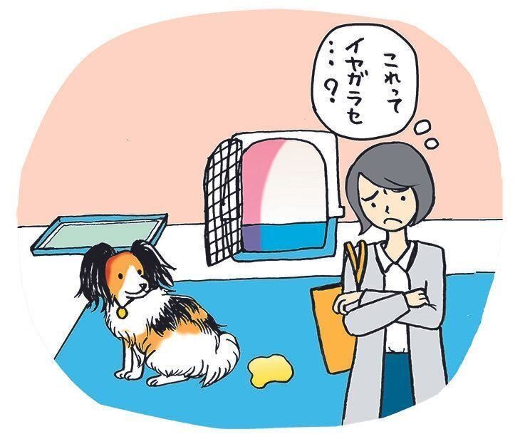 イラスト／西イズミ