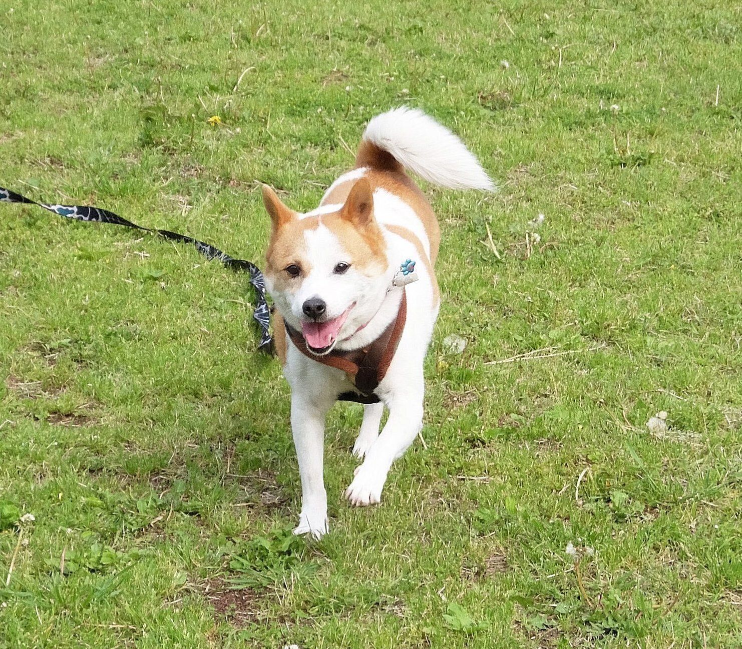 楽しそうなけやきちゃん