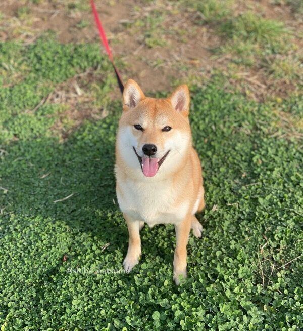 笑顔が可愛いなつめちゃん