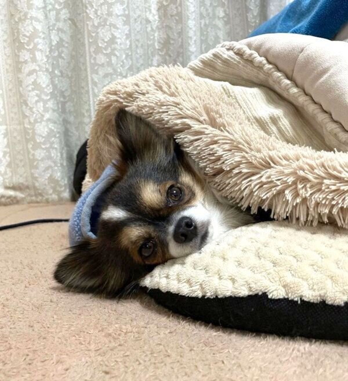 2ub1cnf Lqzsbm 2ub1cnf Lqzsbm