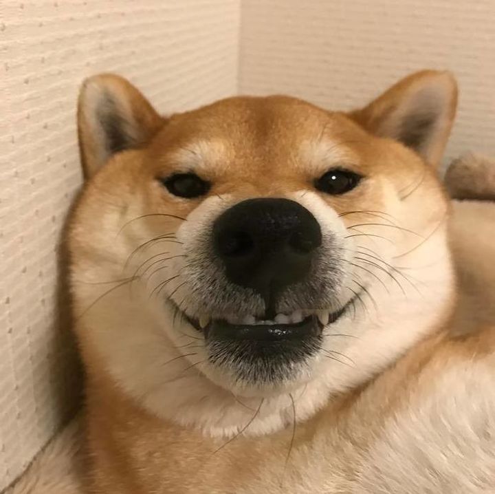 Ricugalomwvjlm Ricugalomwvjlm
