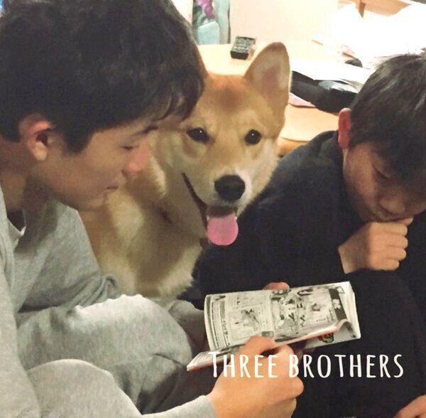 長男と次男の間に入る福くん