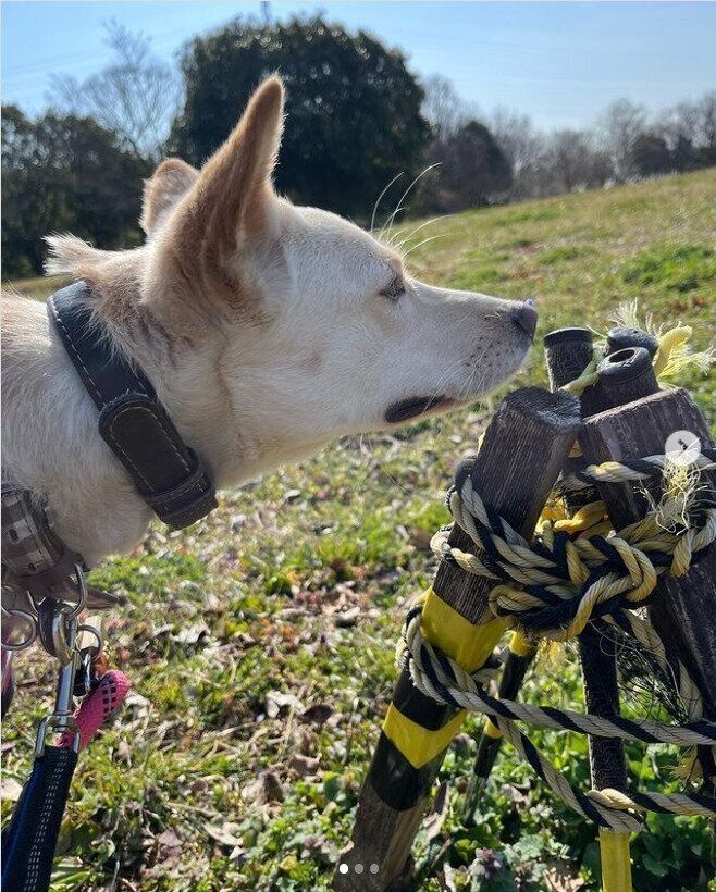 MIXのまりんちゃん