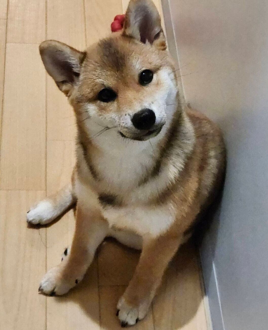 首をかしげるなっちゃん