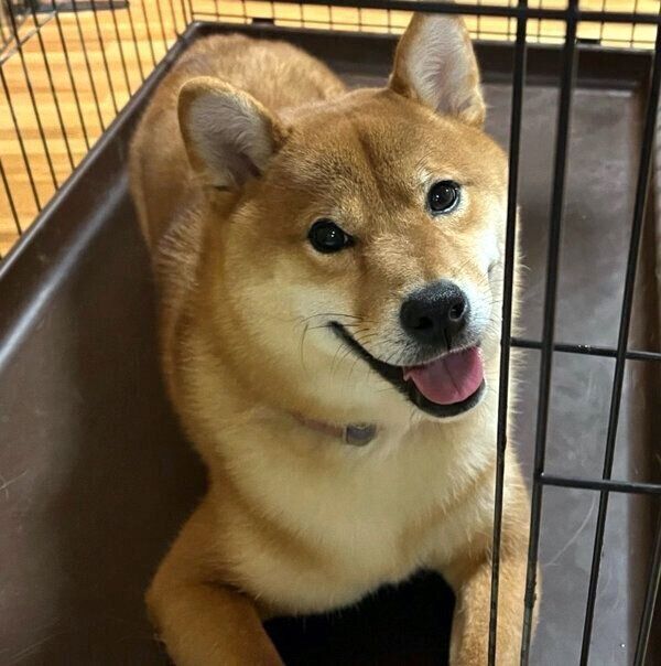 笑顔が可愛らしい文太くん