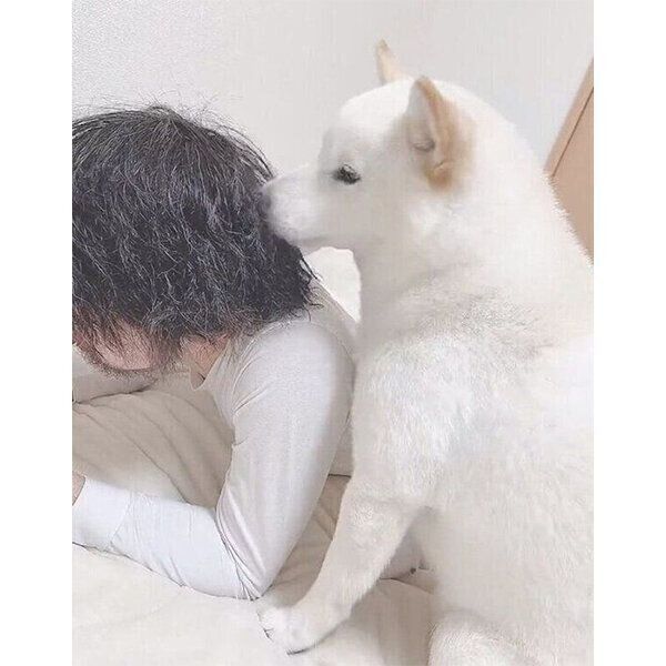 飼い主さんにスリスリする、もち吉くん