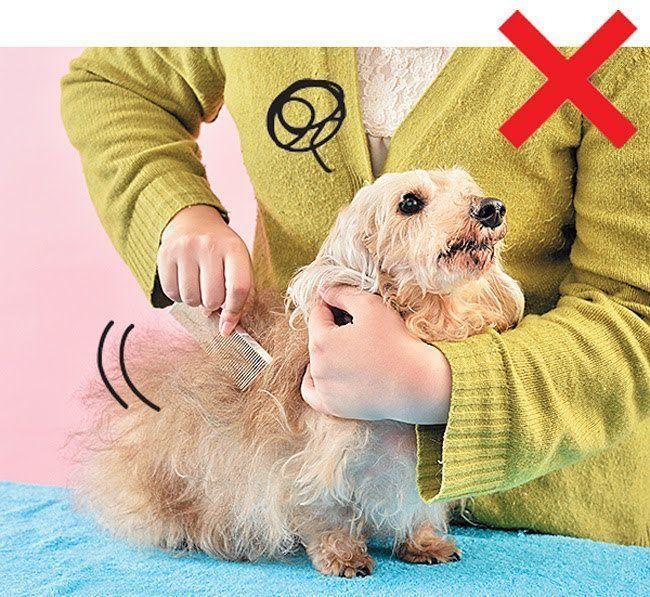 強すぎるブラッシング