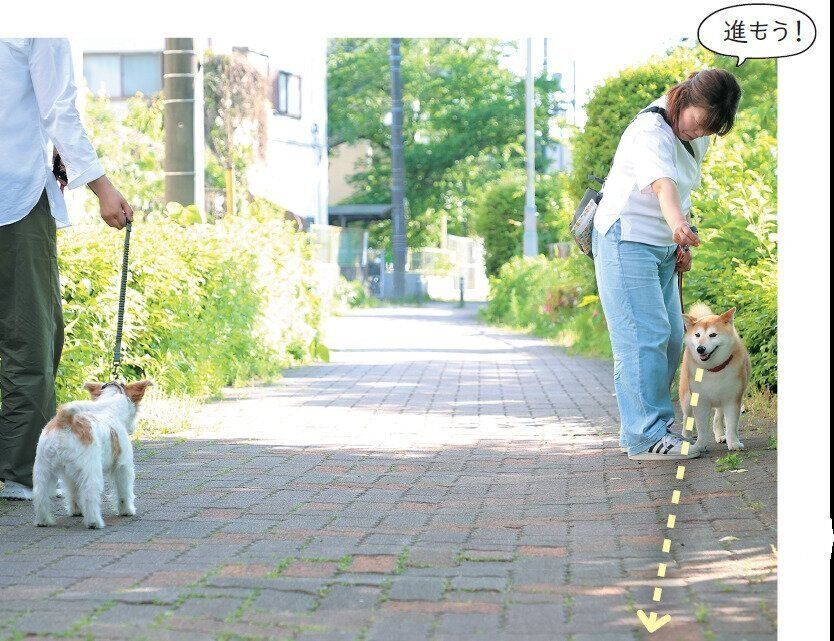威嚇してじっとみてしまう場合