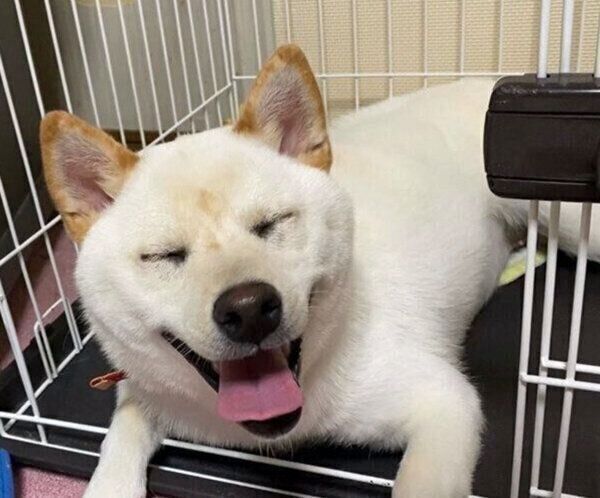 笑顔のはるちゃん