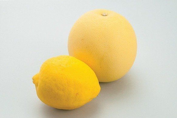 レモン、グレープフルーツ