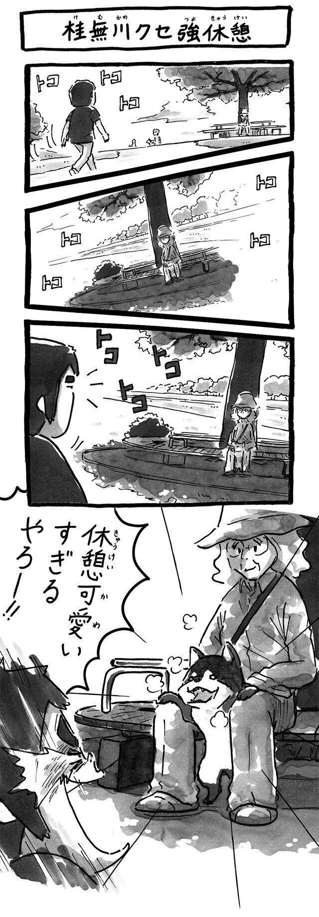 シーズー犬マンガてんぽshihtzu