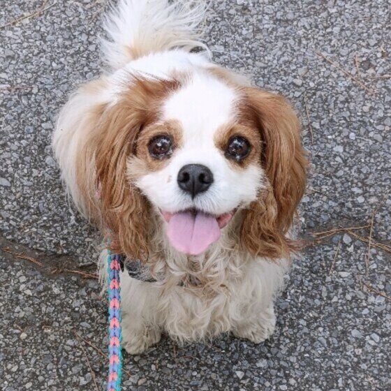 ニコニコの表情♪