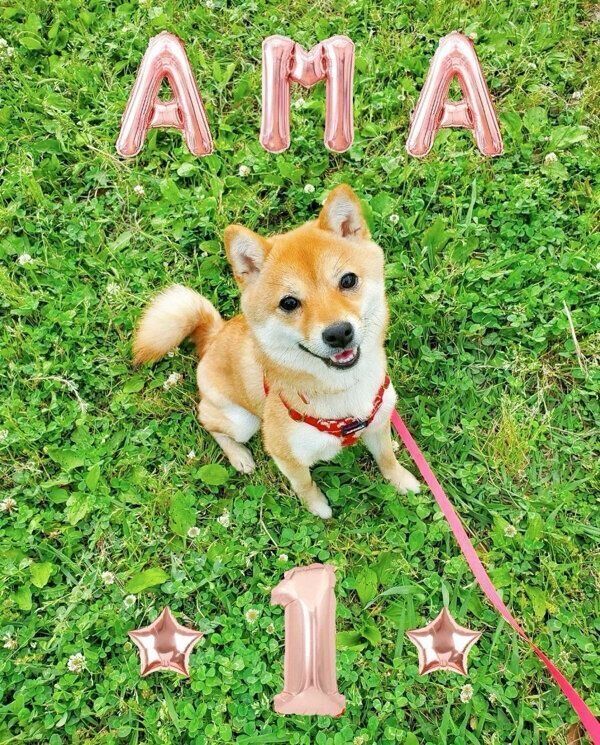 可愛らしい笑顔を見せるあまちゃん