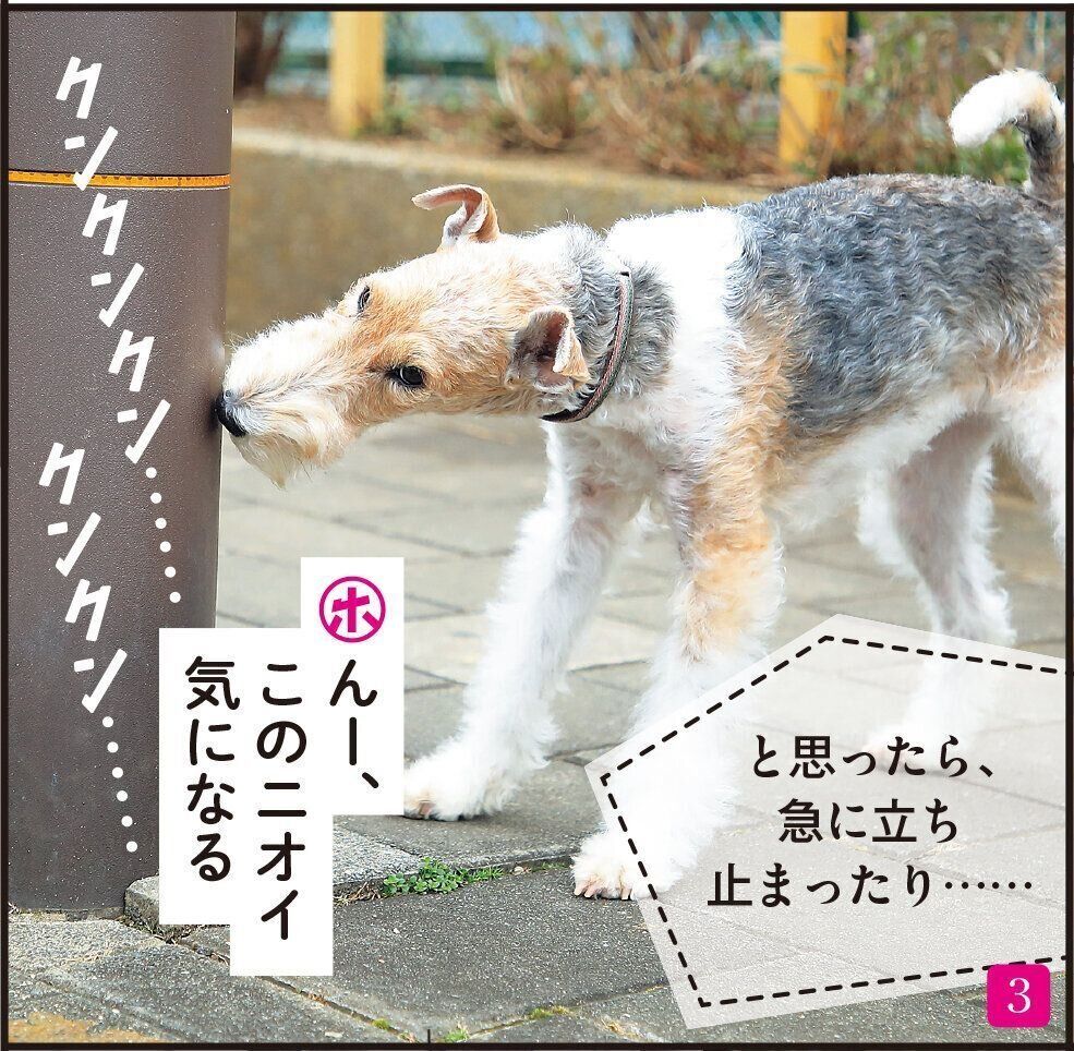 撮影／尾﨑たまき